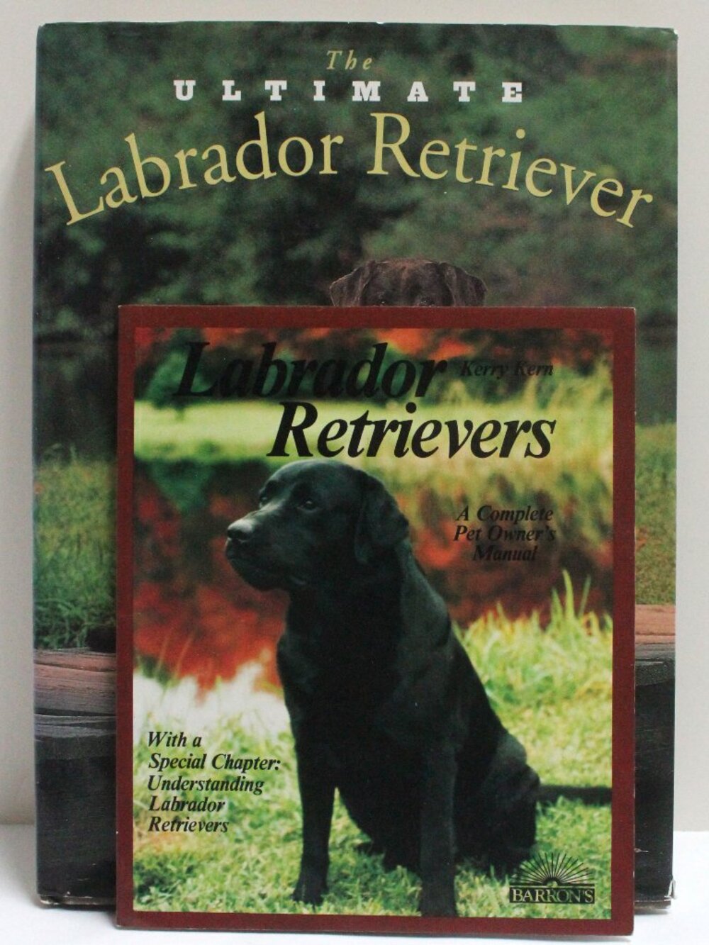 2 Labrador Retriever Dog Books